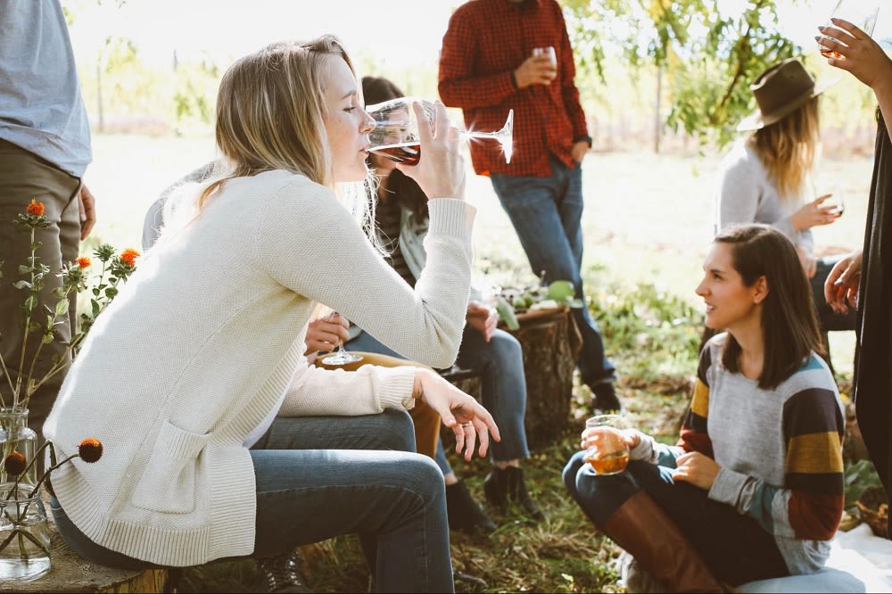 Wineries and vineyards