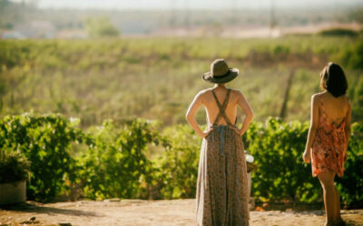 Day Trip Itinerary Discovering Wine