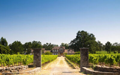Hidden Vineyard Retreats