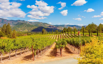 Napa Valley