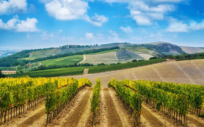 The Benefits of Investing in Land