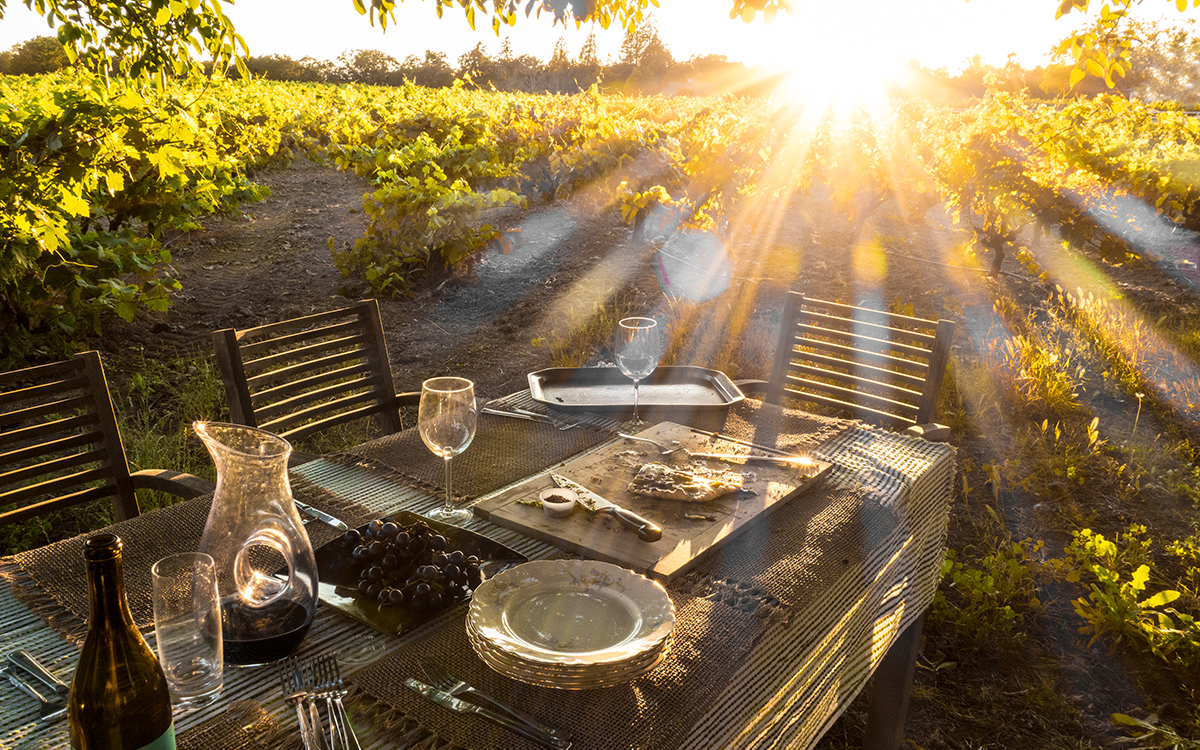 The Art of Pricing Your Home Right in Sonoma and Napa: A Seller’s Guide